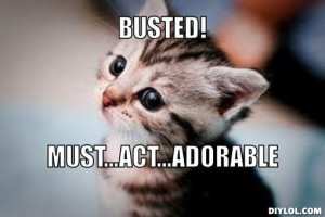 BUSTED!, Must...act...adorable