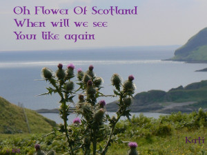 Found on kati-katiskrabbels.blogspot.nl