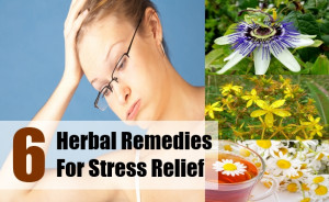 Herbal Remedies For Stress Relief