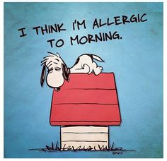 ... personalized morning person funny stuff favorite quotes i m allergic