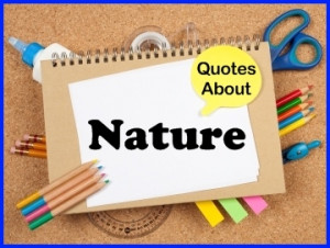 Learning Quotes Download...