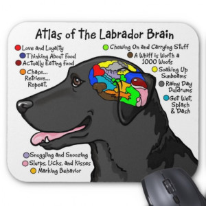 Black Labrador Brain Atlas Mouse Pads