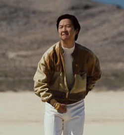 this is animated gif of mr chow from the hangover in it chow stars as ...