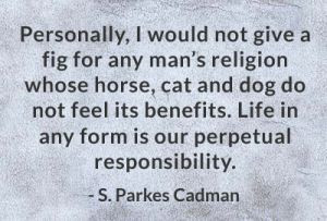 Personally, I would not give a fig for any man's religion whose horse ...