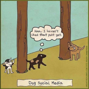 Happy Thursday! #humor #socialmedia