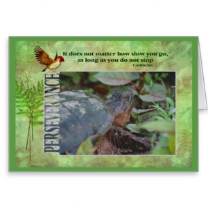 Turtle Perseverance Quote Inspirational Card