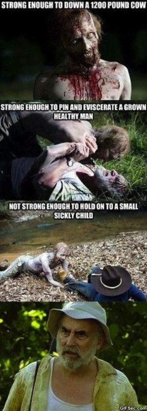 funny walking dead quotes