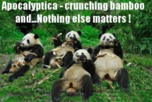 Pandas Being Funny