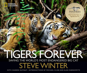 Tigers Forever: Saving the World’s Most Endangered Big Cats