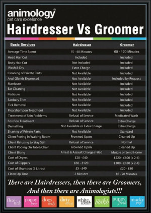 Groomer vs Hairdresser