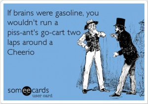 funny dumb people quotes