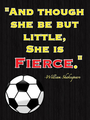 my favorite soccer quote