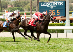 CRYSTAL WATER STAKES QUOTES