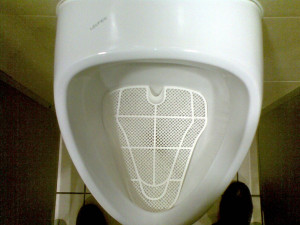 ... toilets for 53 per cent population of world’s third biggest economy