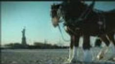 11 Remembered. Anheuser Busch tribute message, this only aired once ...