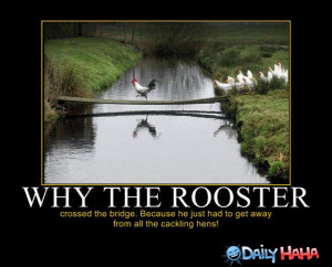 rooster quotes