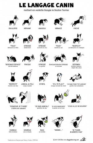 Langage canin: langage universel.