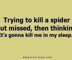 Spider Quotes