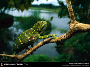 Check out more of Matthew Burart-Lucas' gorgeous photographs by ...