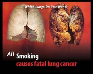 Hookah / Sheesha (Shisha) Smoking: Safer than Cigarettes? Haram or ...