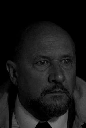 leavesaredancingallaround