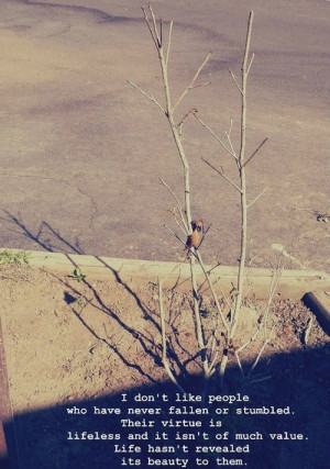 don't like people who have never fallen or stumbled