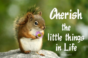 Cherish the little things in Life.