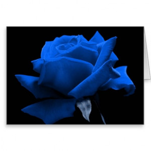 Blue Rose Greeting Card