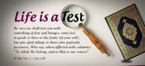 Life Is Just a Test
