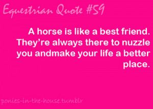 Horse Riding Quotes Picture