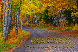 ... road colorful leaves motivational spiritual inspirational photography