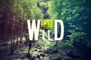 ... at customs. Important Quotes into the Wild . Into the Wild Excerpt