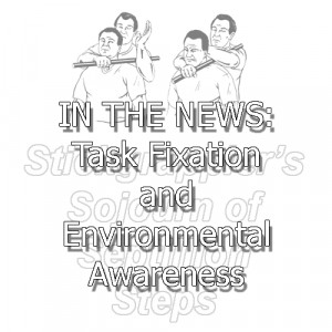 IN THE NEWS: Task Fixation and Environmental Awareness (Nanny sexually ...