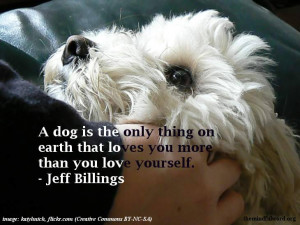 White dog - Unconditional love quotatons