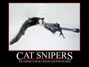 Cat sniper Image