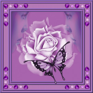 yorkshire_rose Purple beauty for my fairy sister