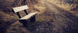 Bench on dirt road Facebook cover