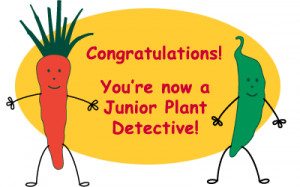 Location: Centerville/USA