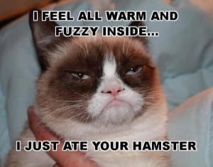 fell all warm and fuzzy - Funny pictures