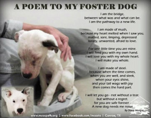 ... dogs and cats needing rescue since we are exclusively foster based we