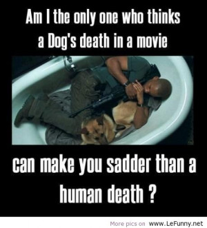 29 Of The Most Beautiful #Dog #Death #Quotes That Will Bring Tears To ...