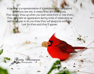 Cardinal Bird Quotes