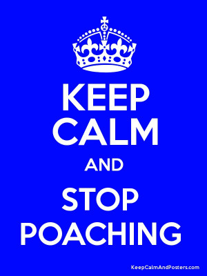 KEEP CALM AND STOP POACHING Poster