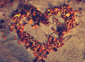 autumn, heart, leaves