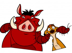 Timon And Pumbaa 8 Of 121 More Timon And Pumbaa Pictures