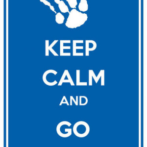 Kentucky Wildcats Keep Calm