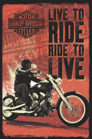 PP32302 - Harley-Davidson® 24