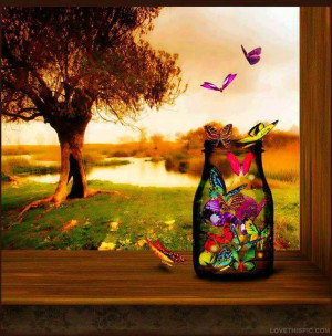 Butterfly Jar