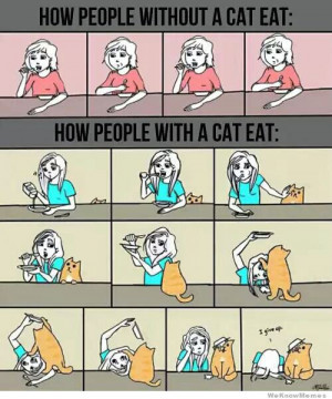 How people without a cat eat… vs how people with a cat eat