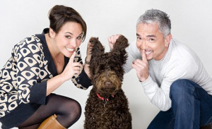 dog wizard Cesar Millan, who says the owner must act as leader of the
